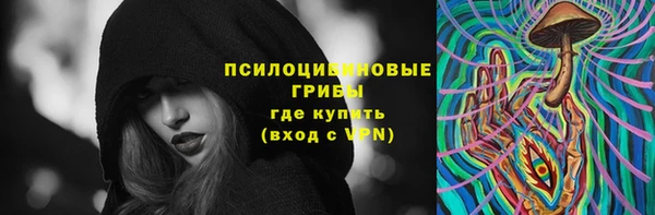 ГАЛЛЮЦИНОГЕННЫЕ ГРИБЫ Балахна