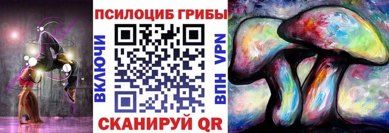 сайты даркнета Telegram Вичуга Псилоцибиновые грибы Psilocybine cubensis MEGA онион